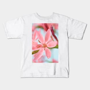 Hesperantha coccinea  &#39;Fenland Daybreak&#39;  Crimson flag lily  Syn.  Schizostylis coccinea  &#39;Fenland Daybreak&#39; Kids T-Shirt